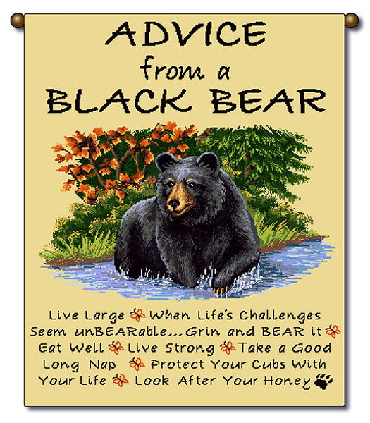 Advice_From_a_Bear