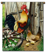 The_Rooster